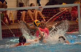 Image result for Frome Waterpolo Club