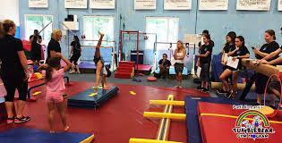 Image result for Tessaro Gymnastics Club