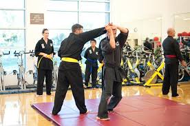 Image result for INTERNATIONAL HAPKIDO TAMWORTH