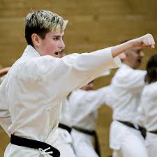 Image result for Haslemere Karate Club