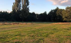 Image result for Thames Ditton & Esher Golf Club