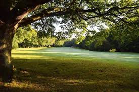Image result for Chorleywood Golf Club Limited