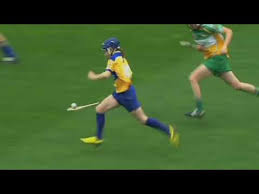 Image result for hurling