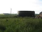 Slurry releases the nitrates and phosphates rapidly causing excessive algal - via Daymix