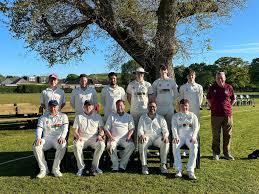 Image result for Torquay Cricket Club