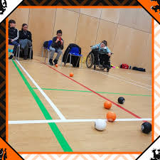 Image result for Well Being and Leisure Team (Boccia)