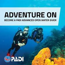 Image result for Bedford Scuba Divers