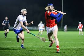 Image result for hurling