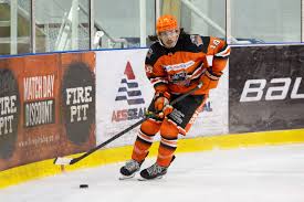 Image result for Sheffield Steelers