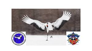 Image result for Cox And Gallacher Martial Arts