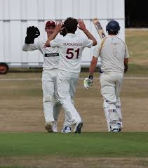 Image result for South Wilts Cricket Club