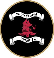 Image result for Oxted & District Junior Fc