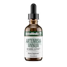 Image result for Artemisia annua
