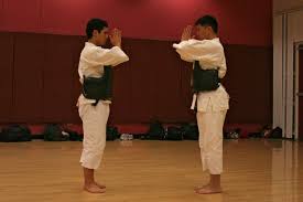 Image result for Tolworth Shorinji Kempo Branch