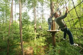 Image result for The Go Ape Experience (Swinley Forest)