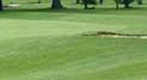Image result for Peterborough Milton Golf Club Ltd
