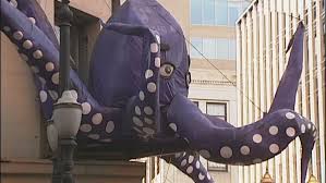 Image result for Octopushy (Croydon Area)