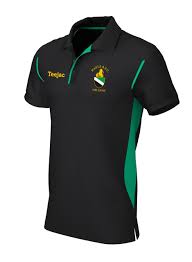 Image result for Hayle Rugby Football Club