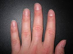 Image result for lunula nail