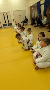 Image result for Redcar Judo Club, Cleveland