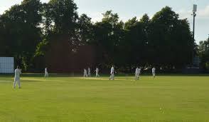 Image result for Hillhead Cricket Club
