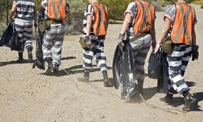 Image result for Freck Chain Gang