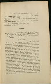 Image result for Sterna acuflavida