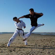 Image result for Taunton Karate academy