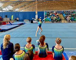 Image result for Bicester and District Gymnastics Club