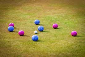 Image result for Yatton Bowls Club