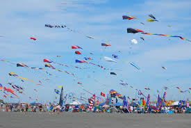 Image result for Kite Ireland