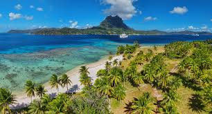 Attēlu rezultāti vaicājumam “Aranei exuvia”