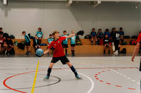 Image result for Broadland Tchoukball Club