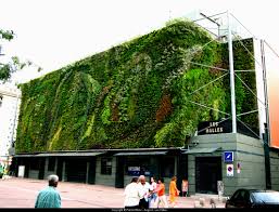 Image result for living wall