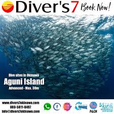 Image result for Tornado Divers