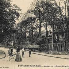 Attēlu rezultāti vaicājumam “Badhamiopsis macrospora macro”