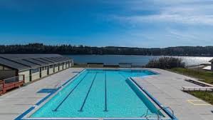 Image result for Ludlow Swimming Club