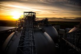 Image result for Drax Cc