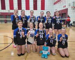 Image result for British Airways Volleyball Club