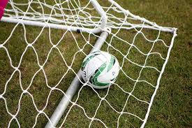 Image result for Welwyn Garden City Panshanger Football Club