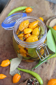 Afbeeldingsresultaat voor peppadew hot pepper