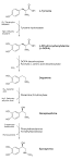 Catecholamine - Wikipedia, the free encyclopedia
