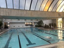 Image result for York University Pool Club