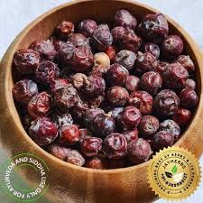 Attēlu rezultāti vaicājumam “Juniperus communis fruit”