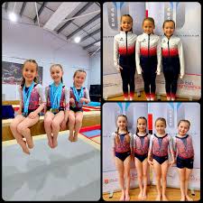 Image result for Hinckley Gymnastics Club