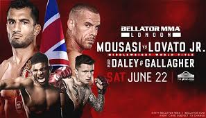 Image result for Chiltern MMA
