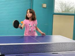 Image result for Generation 2 Table Tennis Club
