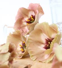 Attēlu rezultāti vaicājumam “Libanotis montana flower”