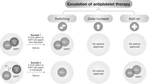 Image result for Hemonetics CCS