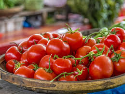 Bildergebnis für tomaten